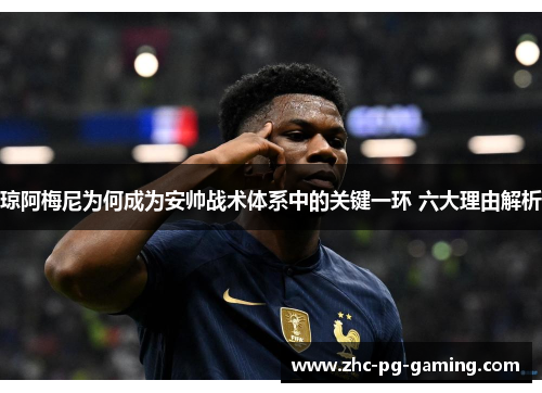 琼阿梅尼为何成为安帅战术体系中的关键一环 六大理由解析