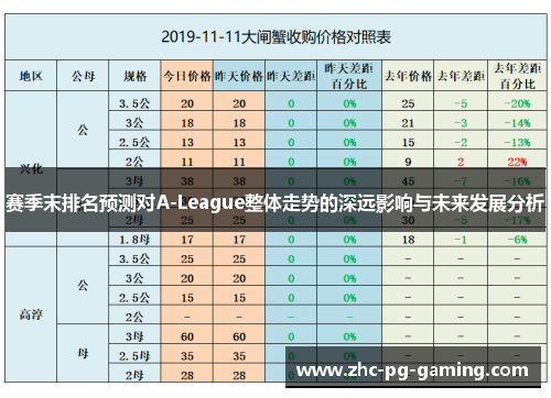 赛季末排名预测对A-League整体走势的深远影响与未来发展分析 赛季末排名预测对A-League整体走势的深远影响与未来发展分析