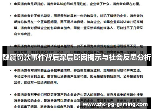 魏震罚款事件背后深层原因揭示与社会反思分析 魏震罚款事件背后深层原因揭示与社会反思分析